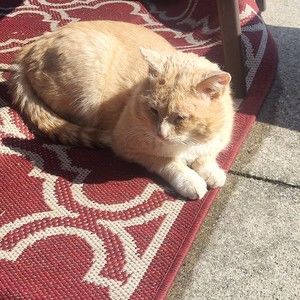 Meet your Posher, Alastair